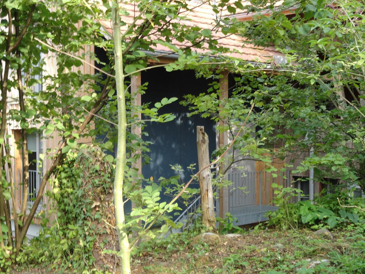 Bed And Breakfast Wegmann Andelfingen Esterno foto