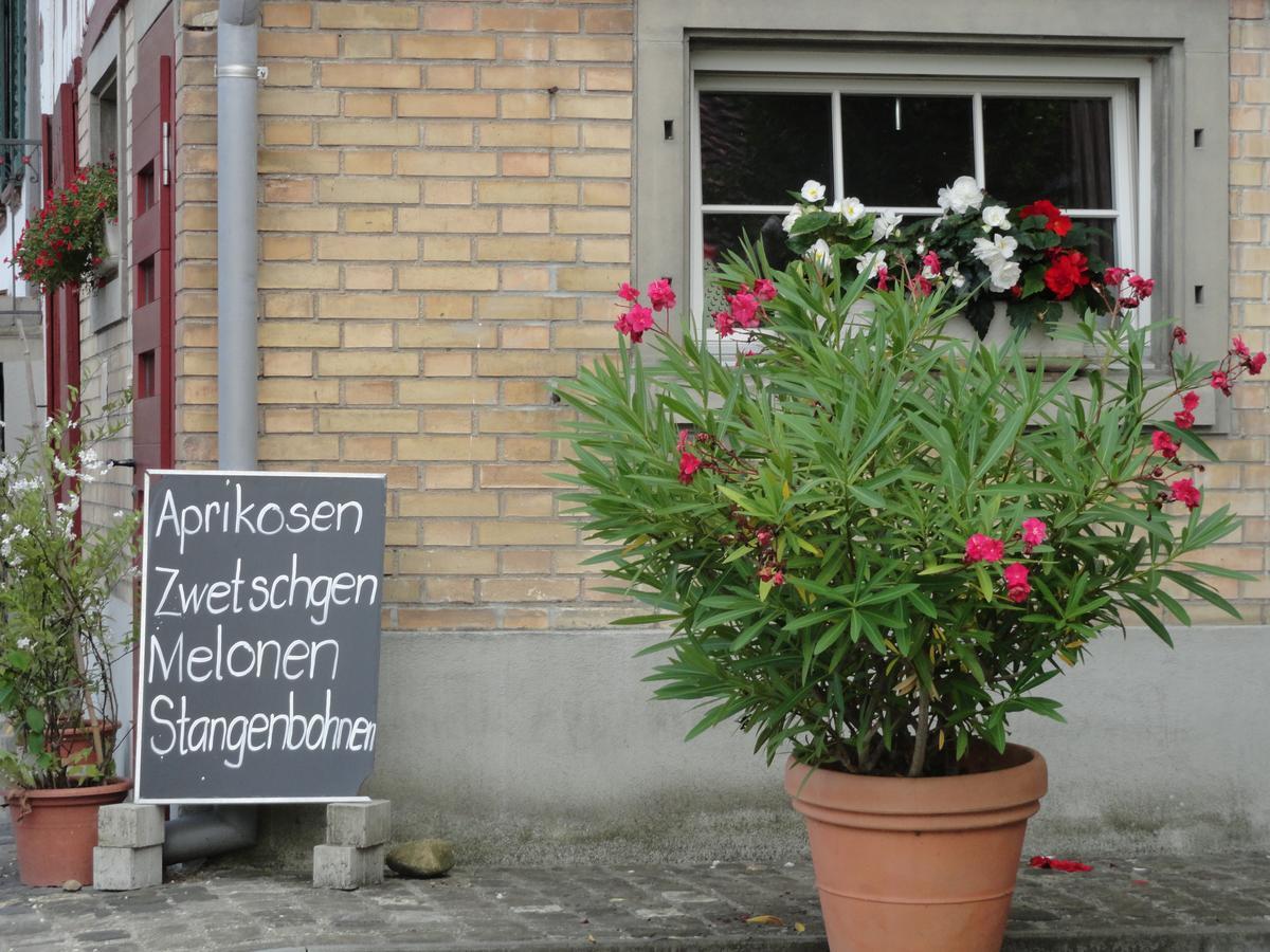Bed And Breakfast Wegmann Andelfingen Esterno foto