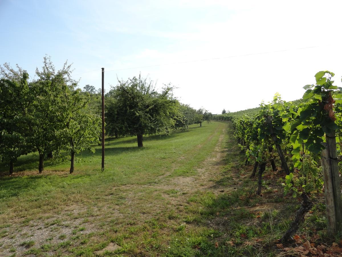 Bed And Breakfast Wegmann Andelfingen Esterno foto